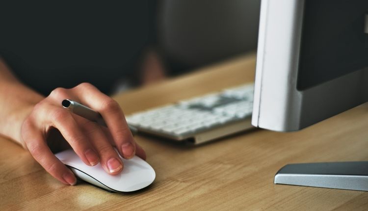 Person Using a Computer